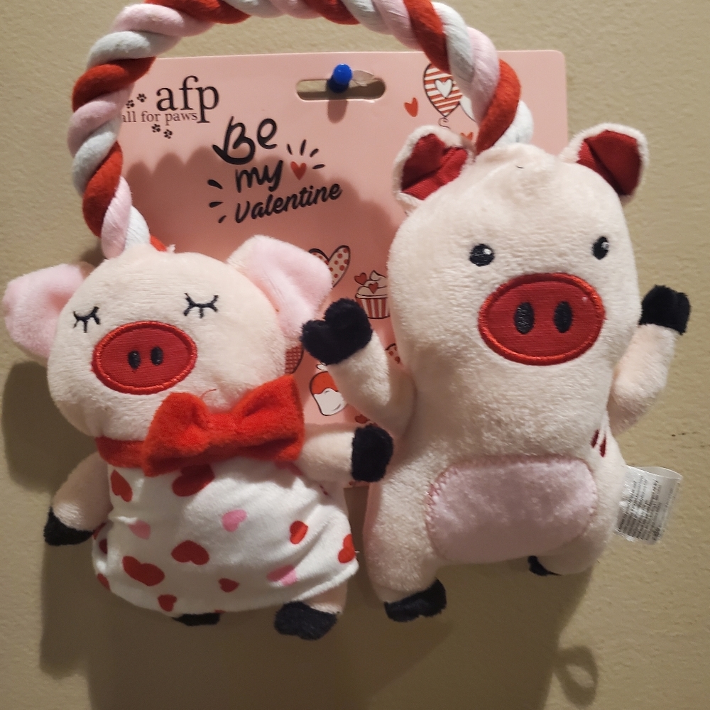 All for paws. - Picture 4 of 5